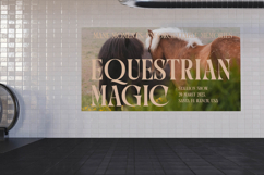 Qulight - Modern Serif Display Typeface Product Image 7