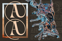 Qulight - Modern Serif Display Typeface Product Image 14