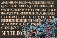 Qulight - Modern Serif Display Typeface Product Image 19