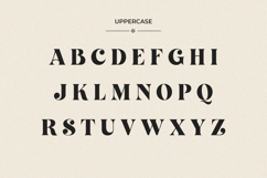 Qumora Elegant Serif Typeface Product Image 13