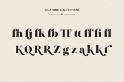 Qumora Elegant Serif Typeface Product Image 15