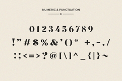 Qumora Elegant Serif Typeface Product Image 16