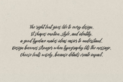 Wild Scribbble - Vintage Script Font Product Image 6