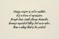 Wild Scribbble - Vintage Script Font Product Image 7