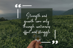 Ridgewood Product Image 5