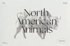 Sketches of animals of North America Product Image 1