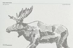 Sketches of animals of North America Product Image 2