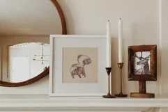 Sketches of animals of North America Product Image 7