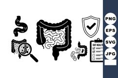 Human Digestive System Intestine Health Illustration Product Image 1