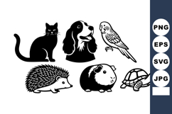 Black Cat Dog Parrot Hedgehog Vector Illustration Product Image 1