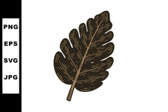 Brown Oak Leaf Vector Illustration with Detailed Veins and N Product Image 1