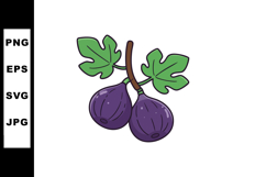 Fig fruit with green leaves vector illustration in natural s Product Image 1