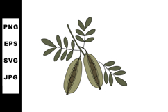 Carob pods and leaves vector illustration with natural green Product Image 1