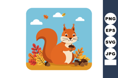 Red squirrel holding acorn with autumn leaves and blue sky b Product Image 1