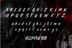 Raize Brush Font Product Image 5