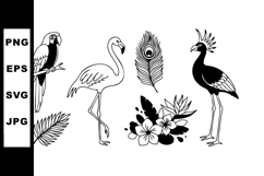 Exotic tropical birds flamingo parrot and crowned crane with Product Image 1