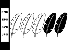 Black and white feathers vector set with five simple minimal Product Image 1