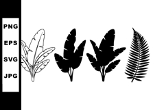 Tropical banana and palm leaves silhouette set vector design Product Image 1