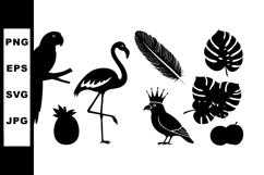 Tropical birds and plants collection with parrot flamingo pi Product Image 1