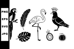 Exotic tropical birds and fruits vector set with flamingo pa Product Image 1