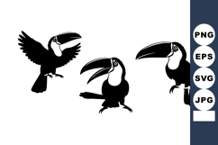 Three toucans black and white silhouette birds flying and pe Product Image 1