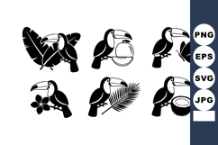 Toucan bird silhouettes with tropical leaves flowers and coc Product Image 1