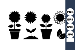 Sunflower plant icons with leaves and seedling in pots vecto Product Image 1