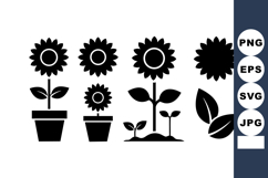 Sunflower growth stages vector icons with leaves and pots in Product Image 1