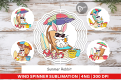 Wind Spinner Summer Rabbit Product Image 1