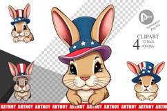 Rabbit Patriotic Clipart Product Image 1