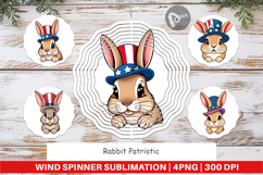 Wind Spinner Rabbit Patriotic Product Image 1
