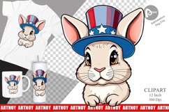 Rabbit Patriotic Clipart Product Image 1