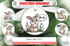 Ornament Rabbit Mood Product Image 1