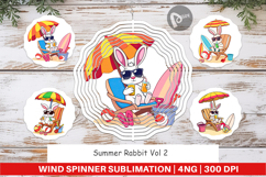 Wind Spinner Summer Rabbit Product Image 1