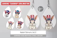 Earring Rabbit Patriotic Product Image 1