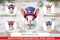 Wind Spinner Rabbit Patriotic Product Image 1