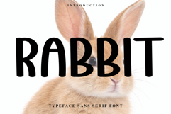 Rabbit Product Image 1