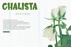 Rabbit Product Image 7