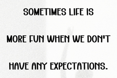 Rabbit Product Image 4