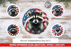 Wind Spinner Raccoon 4th of July Product Image 1