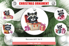 Ornament Raccoon Gift Product Image 1