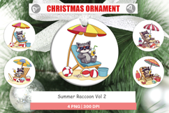 Ornament Summer Raccoon Product Image 1
