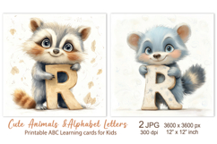Cute Raccoon, Animal Alphabet Letters ABC Printable cards Product Image 1