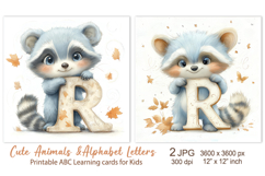 Cute Raccoon, Animal Alphabet Letters ABC Printable cards Product Image 1