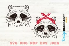 Raccoon Drawing SVG