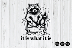It is What It is SVG, Funny Raccoon SVG, Sarcastic Raccoon Product Image 1