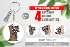 Keychain Peeking Raccoon Product Image 1