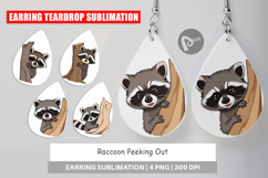 Earring Peeking Raccoon Product Image 1