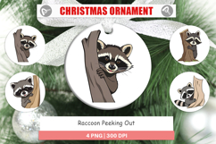 Ornament Peeking Raccoon Product Image 1