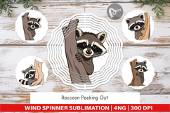 Wind Spinner Peeking Raccoon Product Image 1